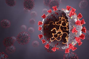 Por qué causa preocupación la variante del coronavirus hallada en Sudáfrica