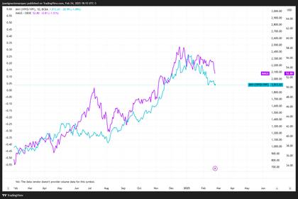 Correlación entre el Merval y las Siete magníficas, según análisis de Delphos Investment