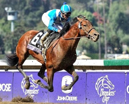 "Correr la Breeders' Cup ya es monstruoso, ganarla, y de la manera que la ganó Calidoscopio...Se te caen los lagrimones", dijo Juanca Echeverz