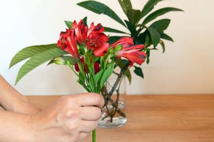 Cortá los tallos de las flores, uno por uno según la medida del florero y después ubicá las flores de acuerdo al dise?o elegido (Paso 5)