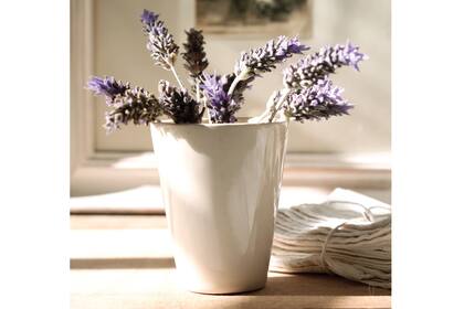 La lavanda promueve la tranquilidad y la protección durante el sueño, por eso es ideal ponerla en el dormitorio
