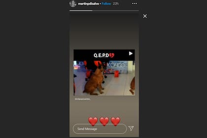 Coscu subió imágenes de su perro a sus redes sociales