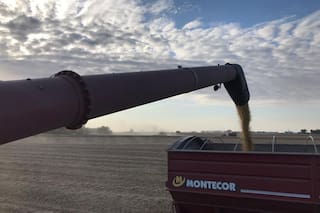 Tierras. En los últimos ocho años retrocedió la tenencia en manos extranjeras