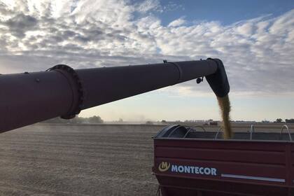 Se busca intensificar la toma de decisiones