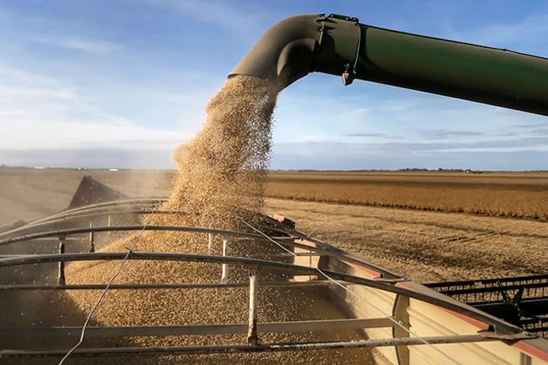 El campo como motor para combatir la pobreza: Nicolás Pino y el potencial desaprovechado del agro argentino
