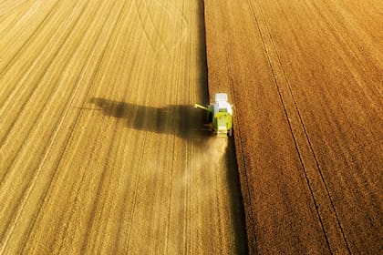 El referente de Copal se refirió al concepto de "soberanía alimentaria" que fue utilizado ayer como uno de los fundamentos de la decisión del Gobierno, y consideró que "la Argentina la tiene y sobradamente"