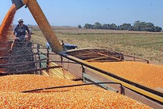 Granos: la pizarra ciega y el lazarillo