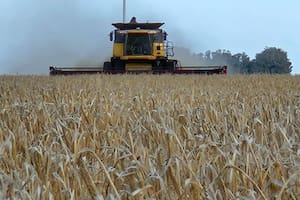 Las ventas de la campaña 2025/26 adelantan un buen ingreso de divisas del agro para el año