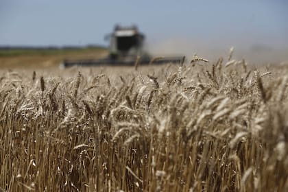 Sobre 17 millones de toneladas, los productores ya vendieron el 51% de la cosecha