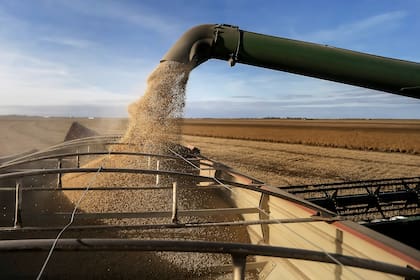 El Banco Central espera que, al tener restricciones para financiarse en pesos, las empresas empiecen a vender divisas y resten presión sobre el tipo de cambio