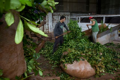 Ante una consulta de LA NACION, en la Secretaría de Trabajo señalaron que ya se pidió la prórroga