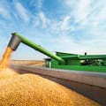 El Gobierno informó el logro de una cosecha récord de 163,2 millones de toneladas de granos