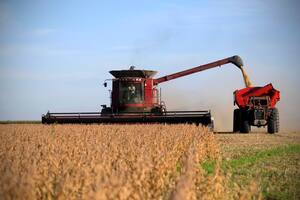 Cosecha de soja