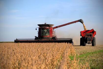 La industria alimenticia emplea entre 400.000 y 500.000 personas en forma directa y llega a 1.500.000 por la integración de los procesos