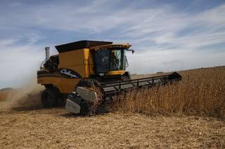 Inquietud en parte de la industria petrolera por un posible faltante de gasoil