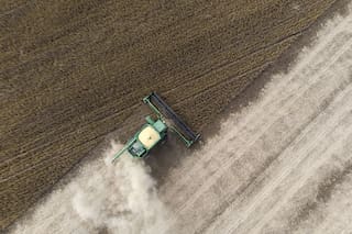 Opinión. Un consejo y una mesa con cuatro patas