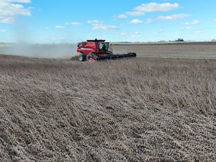 Cosecha de soja en Argentina