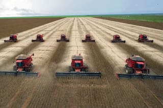 Escenario de precios desafiante para los productores argentinos de soja