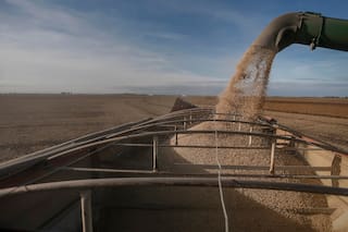 Retenciones: una entidad del campo pidió que el Gobierno respete un fallo judicial