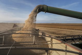 Canje agropecuario: detalles y ventajas de una herramienta eficaz