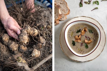 Colheita e Sopa de Topanimbur do Chef Sébastien Foulilla