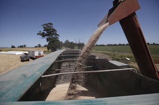 Trigo: la intervención limita los mecanismos del mercado