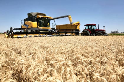 CRA: "Las retenciones no sólo impactan negativamente en el sector agropecuario, sino que también obstaculizan el desarrollo económico y social de nuestras comunidades rurales"