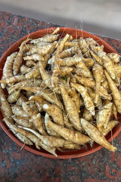 Cultura limpa pronta para consumo