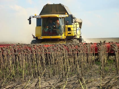 Cosechadora con el cabezal argentino