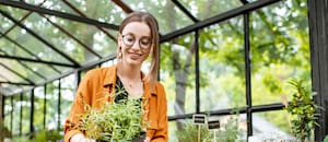 Cómo proteger tus aromáticas de las primeras heladas