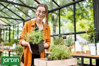 Cómo proteger tus aromáticas de las primeras heladas