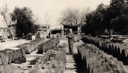 Costa en Mendoza con los toneles de aceitunas