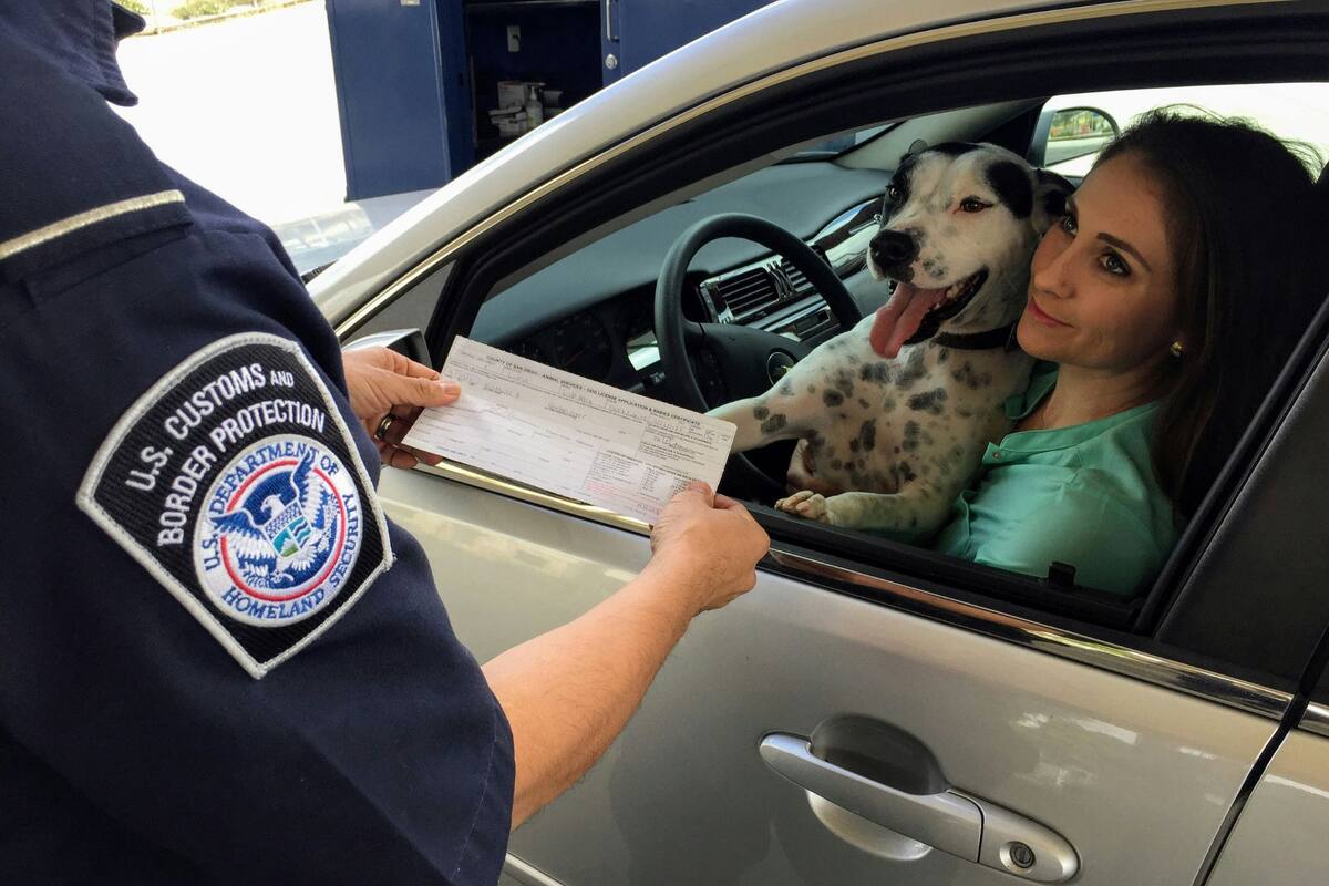 Da Califórnia ao México. quais são os custos e procedimentos para os migrantes que desejam regressar com um voucher? Da Califórnia ao México. quais são os custos e procedimentos para os migrantes que desejam regressar com um voucher?