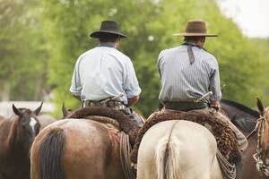 El dibujante que desterró la fantasiosa muerte del gaucho