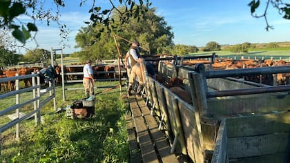 CRA propone permitir amortizaciones más rápidas para maquinaria, infraestructura rural y mejoras permanentes, e incluso amortización total en un solo ejercicio en zonas declaradas en emergencia agropecuaria