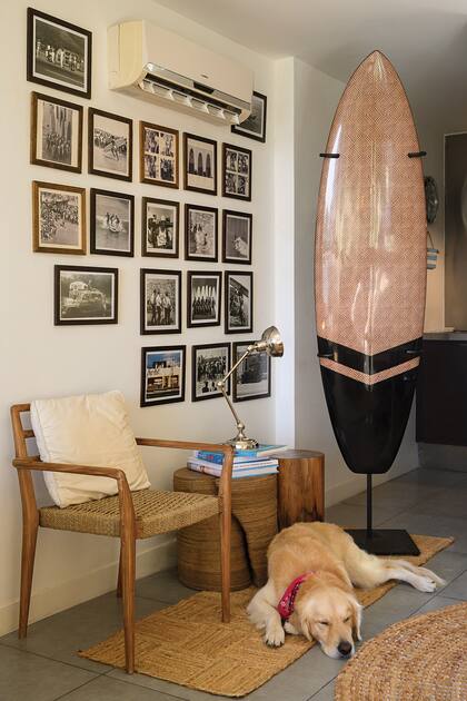 Crack, el fiel compañero del ex manager, duerme sobre las alfombras de yute (Matiz) en el espacio que homenajea a Fernando Aguirre.