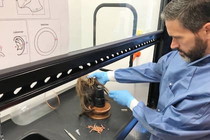 Craig Byron analiza la tsantsa, que luego será repatriada al Ecuador