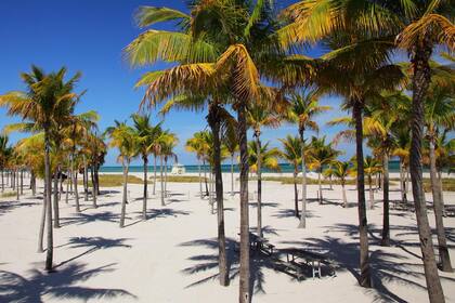 Crandon Beach está en medio de un entorno natural con múltiples atractivos