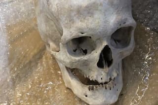 Descubren otra calavera disimulada en un envío postal a Estados Unidos
