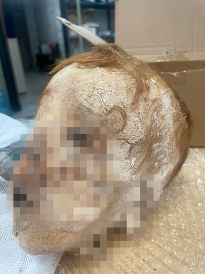 Cráneo momificado de un chico de entre 10 y 12 años