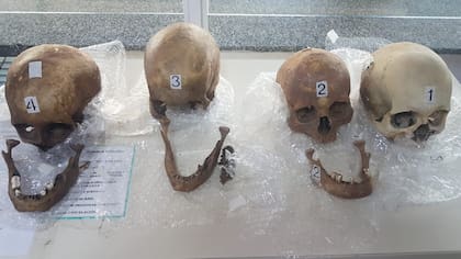 Cráneos humanos secuestrados en Clorinda, Formosa