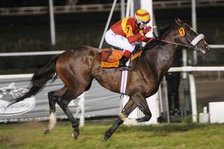 Sábado de fiesta en el hipódromo de Palermo, con las Carreras de las Estrellas
