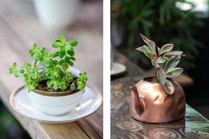 Crear un jardín con lo que hay no es solo una cuestión de reciclaje, es un acto de reconexión con lo natural