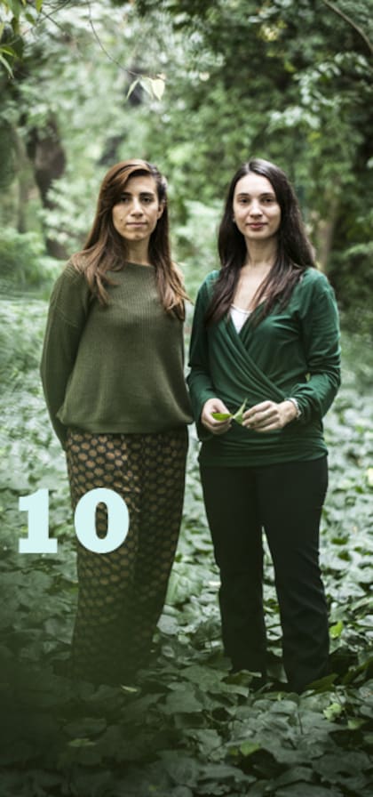 Crearon pasturas más nutritivas para el ganado que, a su vez, disminuyen la emisión de gases.