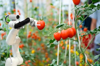 AgTech: con la robotización, el futuro del campo está más cerca