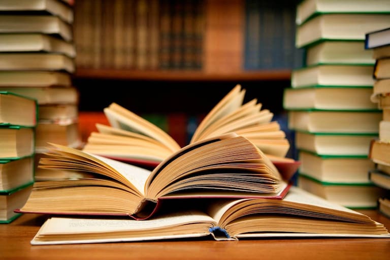 BIBLIOGRAFÍA