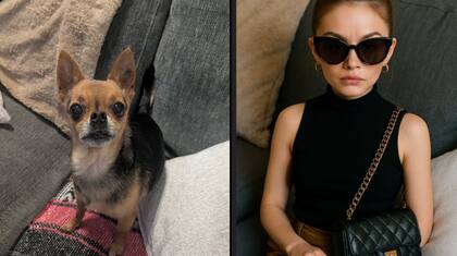 Crédito: Ryan Dickie a través de X.