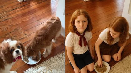 Crédito: Steve Dakh a través de X.