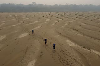 ¿Cree que ahora hace calor? Los próximos cinco años batirán récords, según la ONU
