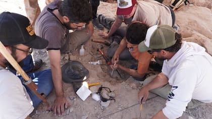 Paleontólogos del CONICET participan de la primera campaña transmitida en vivo para buscar dinosaurios en la estepa patagónica - Image 3